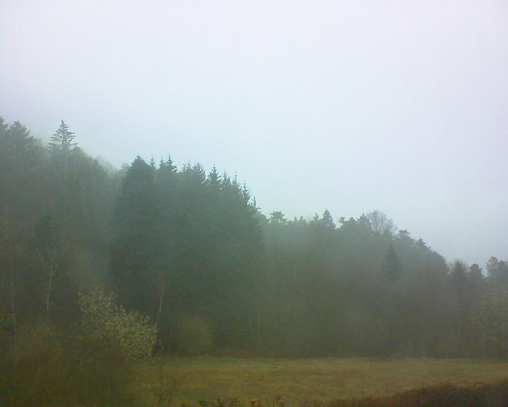 Le petit ballon vu depuis le Domaine Langmatt à Murbach le 26.03.2025 à 17:15 Le petit ballon (Alsace, Vosges) le 26.03.2025 à 17:15