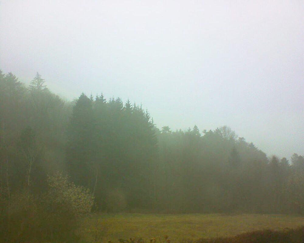 Le petit ballon vu depuis le Domaine Langmatt à Murbach le 26.03.2025 à 17:30 Le petit ballon (Alsace, Vosges) le 26.03.2025 à 17:30