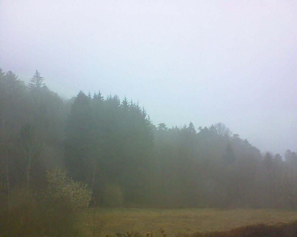Le petit ballon vu depuis le Domaine Langmatt à Murbach le 26.03.2025 à 17:45 Le petit ballon (Alsace, Vosges) le 26.03.2025 à 17:45