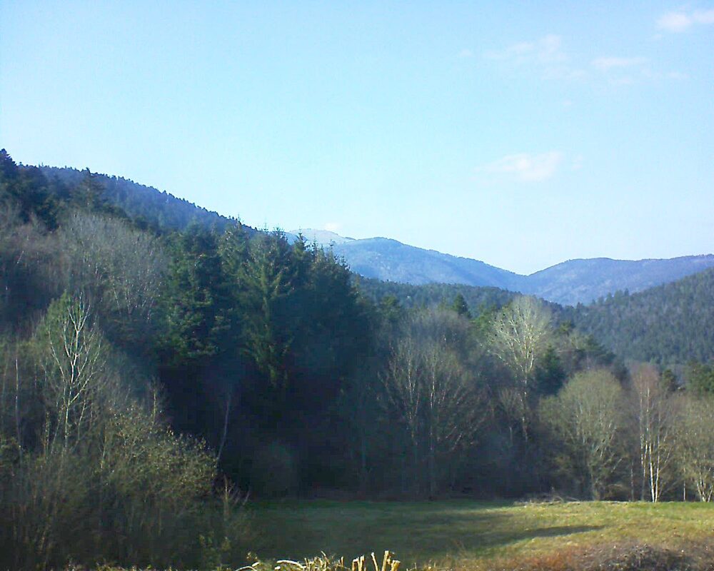Le petit ballon vu depuis le Domaine Langmatt à Murbach le 02.04.2025 à 17:30 Le petit ballon (Alsace, Vosges) le 02.04.2025 à 17:30