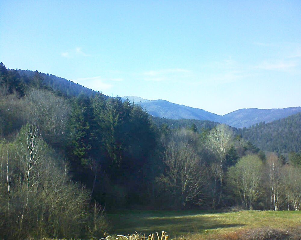 Le petit ballon vu depuis le Domaine Langmatt à Murbach le 09.04.2025 à 17:30 Le petit ballon (Alsace, Vosges) le 09.04.2025 à 17:30