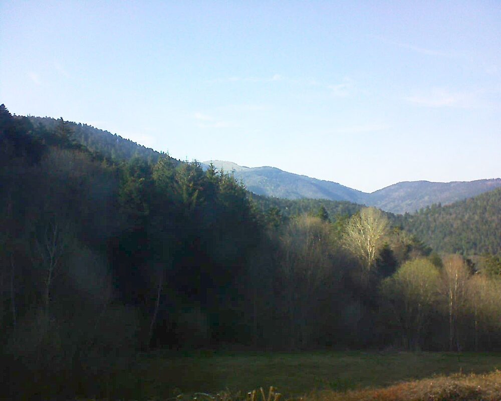 Le petit ballon vu depuis le Domaine Langmatt à Murbach le 09.04.2025 à 17:45 Le petit ballon (Alsace, Vosges) le 09.04.2025 à 17:45