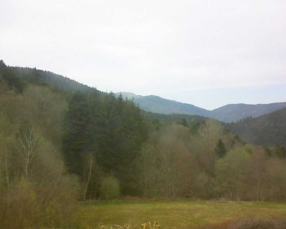 Le petit ballon vu depuis le Domaine Langmatt à Murbach le 12.04.2025 à 16:45 Le petit ballon (Alsace, Vosges) le 12.04.2025 à 16:45