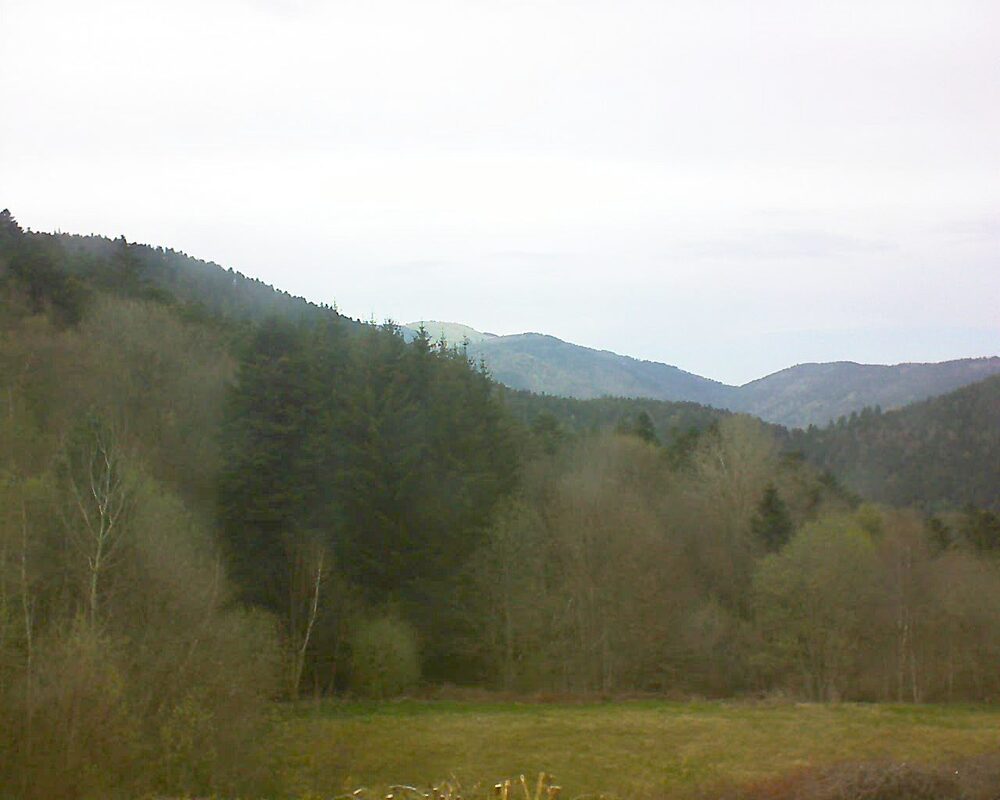 Le petit ballon vu depuis le Domaine Langmatt à Murbach le 12.04.2025 à 17:15 Le petit ballon (Alsace, Vosges) le 12.04.2025 à 17:15