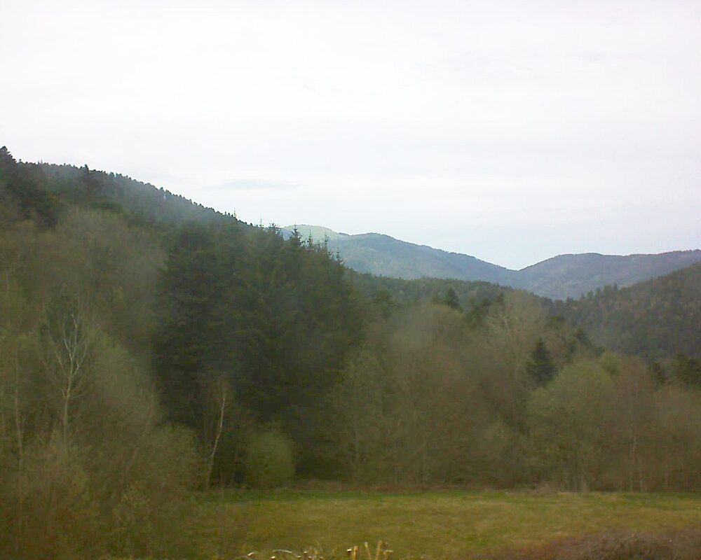 Le petit ballon vu depuis le Domaine Langmatt à Murbach le 12.04.2025 à 17:30 Le petit ballon (Alsace, Vosges) le 12.04.2025 à 17:30