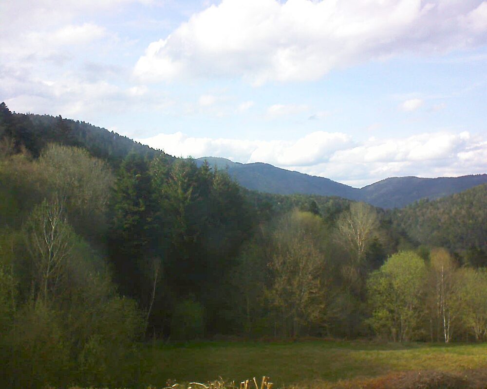 Le petit ballon vu depuis le Domaine Langmatt à Murbach le 14.04.2025 à 17:45 Le petit ballon (Alsace, Vosges) le 14.04.2025 à 17:45