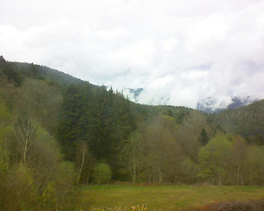 Le petit ballon vu depuis le Domaine Langmatt à Murbach le 15.04.2025 à 14:45 Le petit ballon (Alsace, Vosges) le 15.04.2025 à 14:45