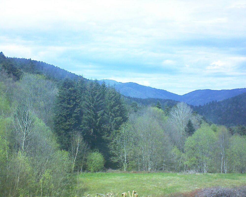 Le petit ballon vu depuis le Domaine Langmatt à Murbach le 19.04.2025 à 14:45 Le petit ballon (Alsace, Vosges) le 19.04.2025 à 14:45