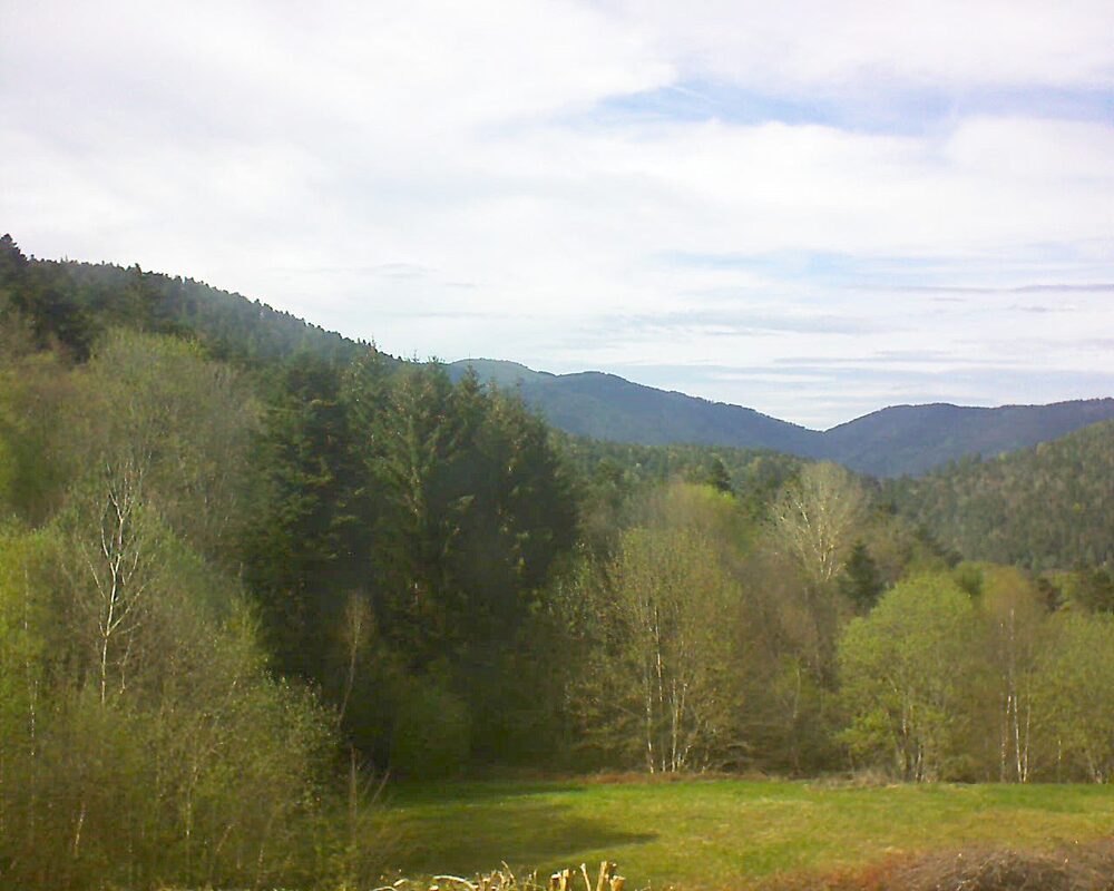 Le petit ballon vu depuis le Domaine Langmatt à Murbach le 19.04.2025 à 16:45 Le petit ballon (Alsace, Vosges) le 19.04.2025 à 16:45