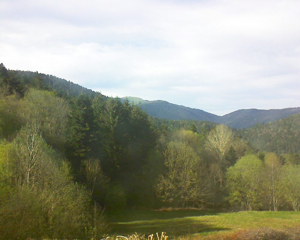 Le petit ballon vu depuis le Domaine Langmatt à Murbach le 19.04.2025 à 17:30 Le petit ballon (Alsace, Vosges) le 19.04.2025 à 17:30