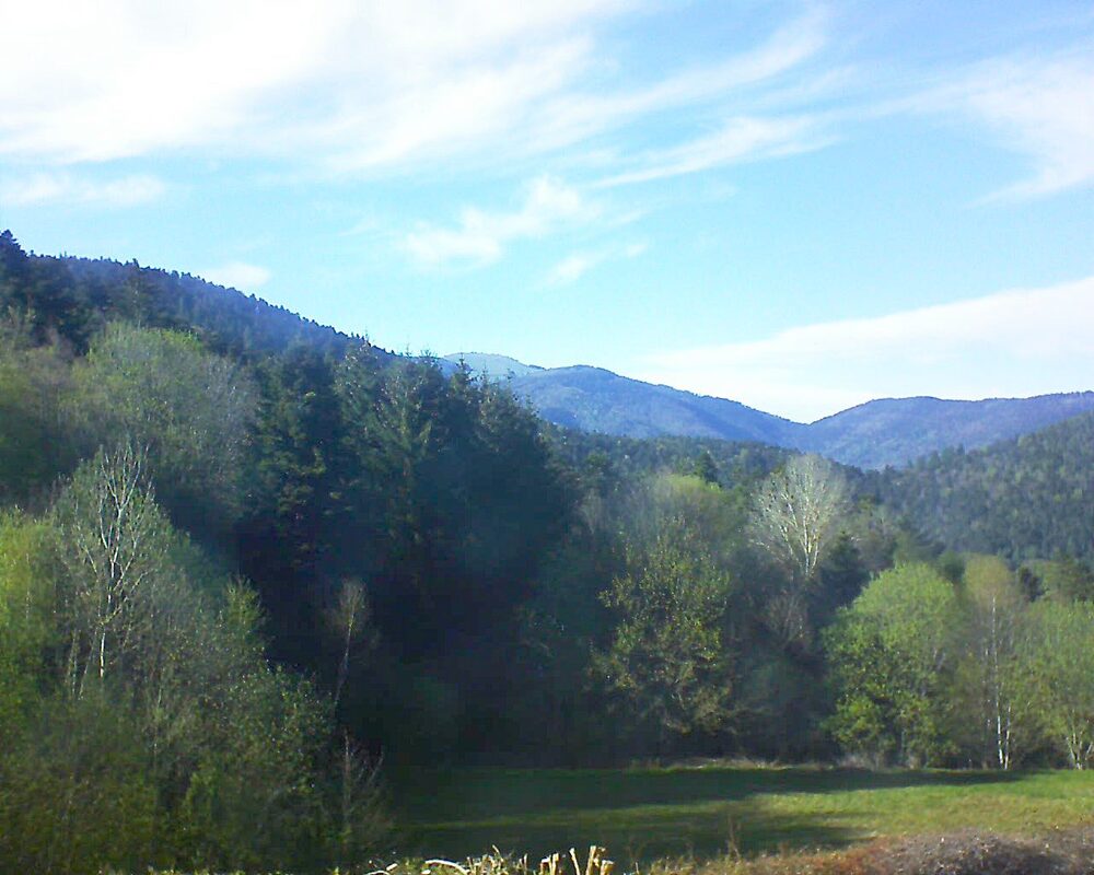 Le petit ballon vu depuis le Domaine Langmatt à Murbach le 20.04.2025 à 17:45 Le petit ballon (Alsace, Vosges) le 20.04.2025 à 17:45