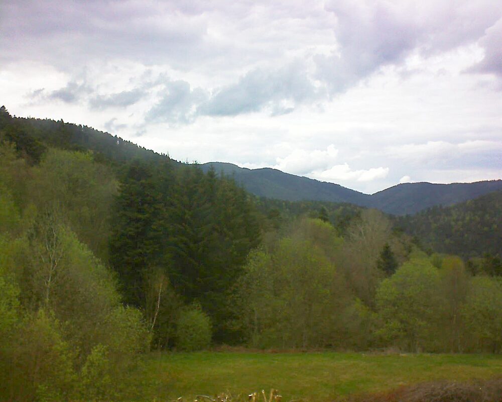 Le petit ballon vu depuis le Domaine Langmatt à Murbach le 22.04.2025 à 16:45 Le petit ballon (Alsace, Vosges) le 22.04.2025 à 16:45