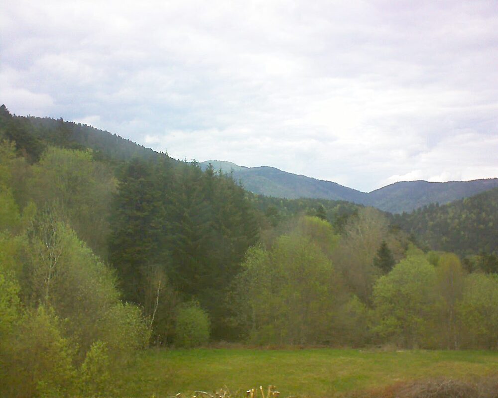 Le petit ballon vu depuis le Domaine Langmatt à Murbach le 22.04.2025 à 17:30 Le petit ballon (Alsace, Vosges) le 22.04.2025 à 17:30