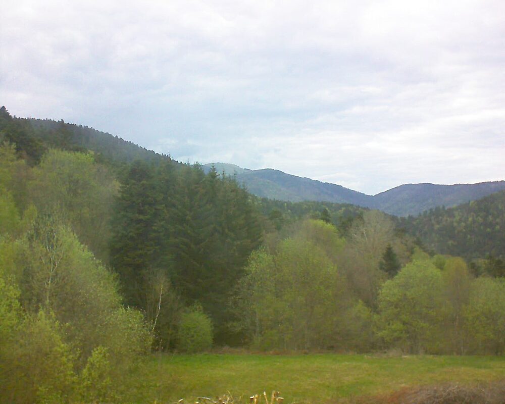 Le petit ballon vu depuis le Domaine Langmatt à Murbach le 22.04.2025 à 17:45 Le petit ballon (Alsace, Vosges) le 22.04.2025 à 17:45