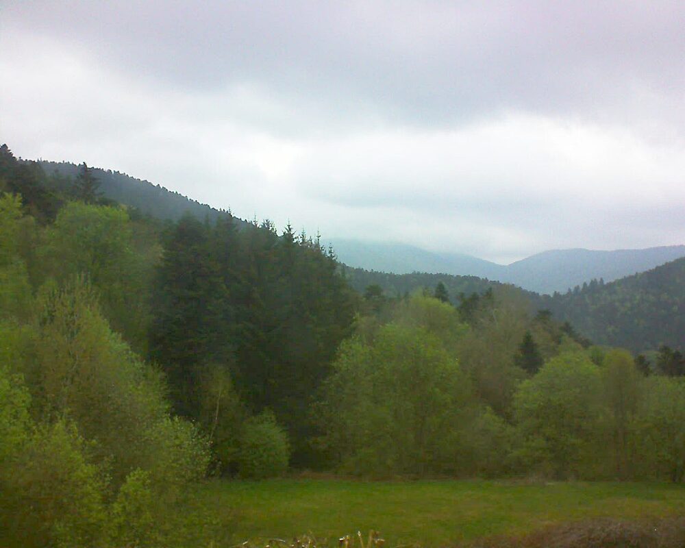 Le petit ballon vu depuis le Domaine Langmatt à Murbach le 26.04.2025 à 17:30 Le petit ballon (Alsace, Vosges) le 26.04.2025 à 17:30