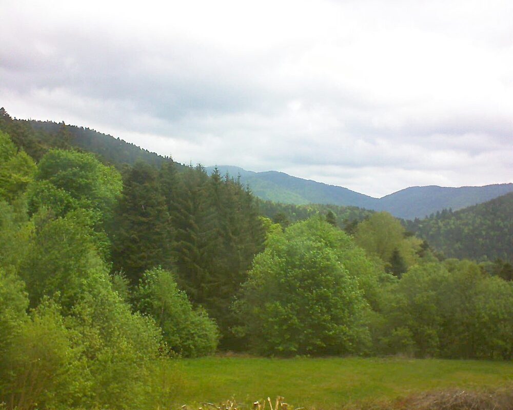Le petit ballon vu depuis le Domaine Langmatt à Murbach le 06.05.2025 à 11:00 Le petit ballon (Alsace, Vosges) le 06.05.2025 à 11:00