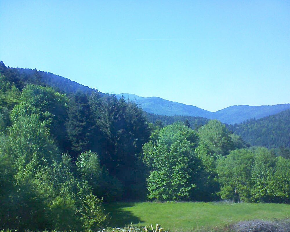 Le petit ballon vu depuis le Domaine Langmatt à Murbach le 10.05.2025 à 16:30 Le petit ballon (Alsace, Vosges) le 10.05.2025 à 16:30