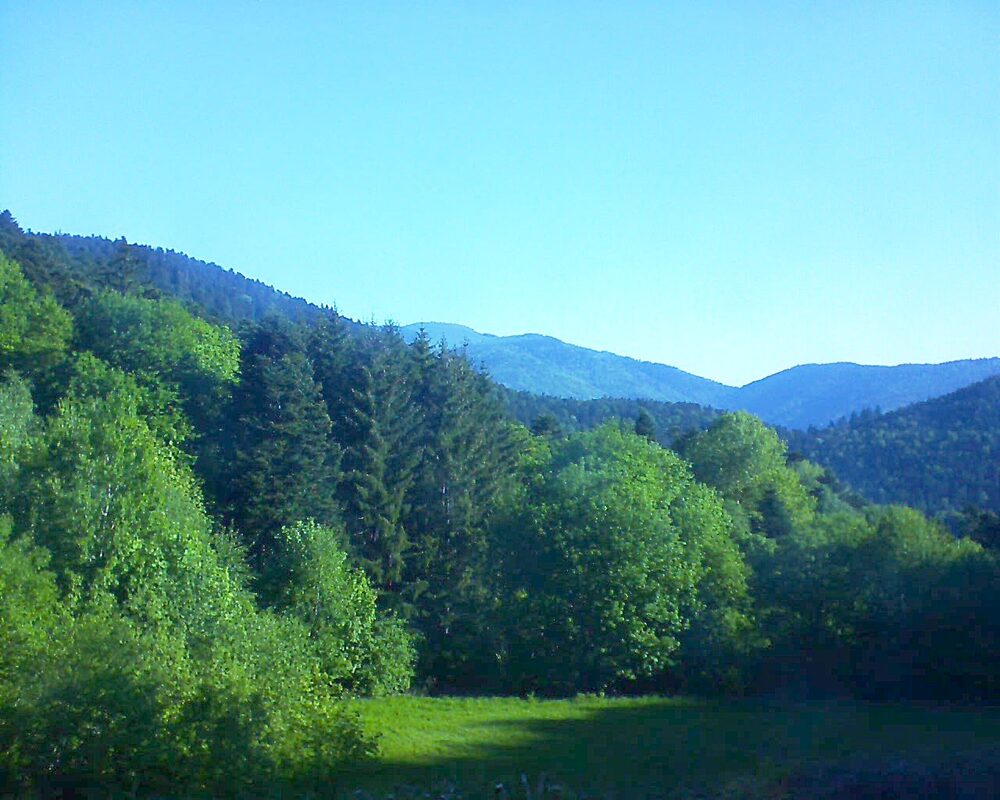 Le petit ballon vu depuis le Domaine Langmatt à Murbach le 11.05.2025 à 08:30 Le petit ballon (Alsace, Vosges) le 11.05.2025 à 08:30