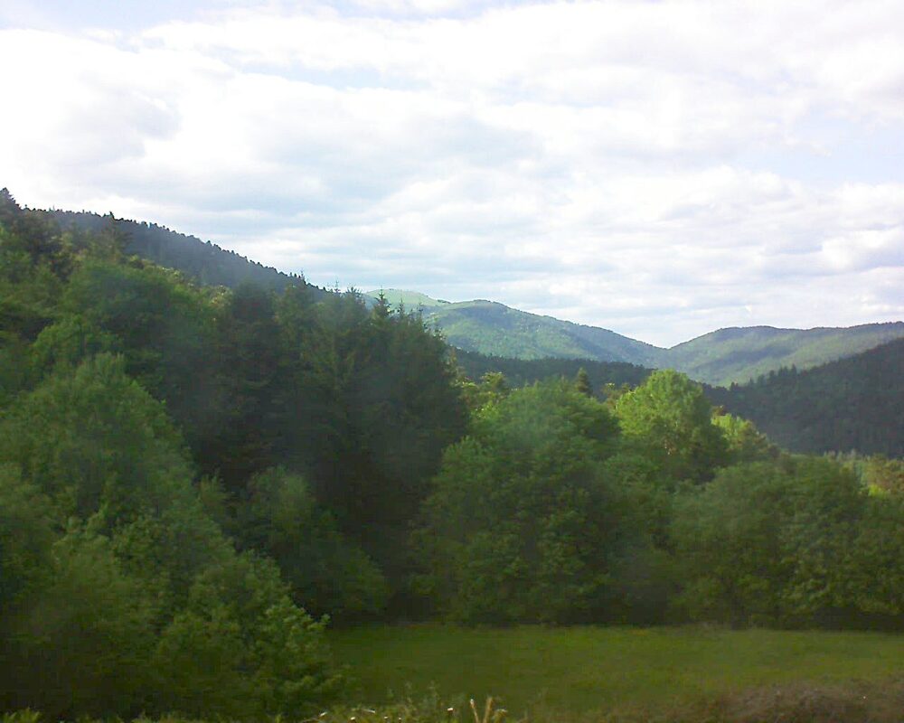 Le petit ballon vu depuis le Domaine Langmatt à Murbach le 16.05.2025 à 17:45 Le petit ballon (Alsace, Vosges) le 16.05.2025 à 17:45