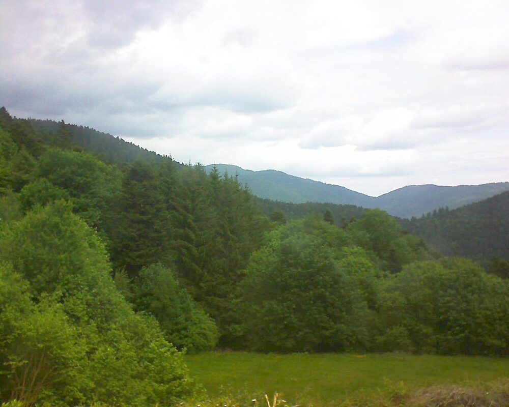 Le petit ballon vu depuis le Domaine Langmatt à Murbach le 20.05.2025 à 12:00 Le petit ballon (Alsace, Vosges) le 20.05.2025 à 12:00