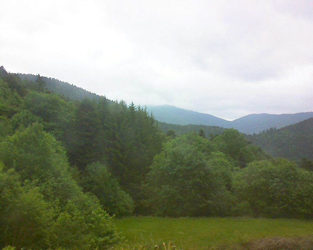 Le petit ballon vu depuis le Domaine Langmatt à Murbach le 22.05.2025 à 11:00 Le petit ballon (Alsace, Vosges) le 22.05.2025 à 11:00