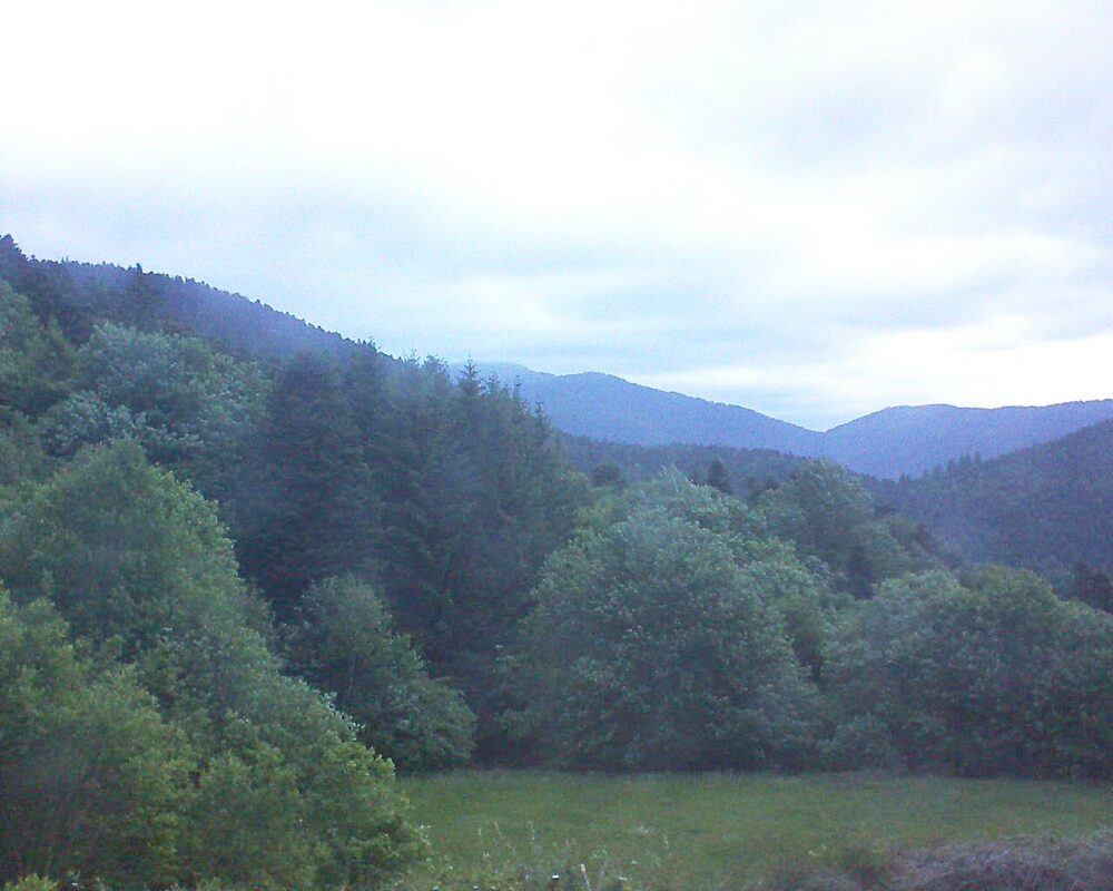 Le petit ballon vu depuis le Domaine Langmatt à Murbach le 28.05.2025 à 05:45 Le petit ballon (Alsace, Vosges) le 28.05.2025 à 05:45