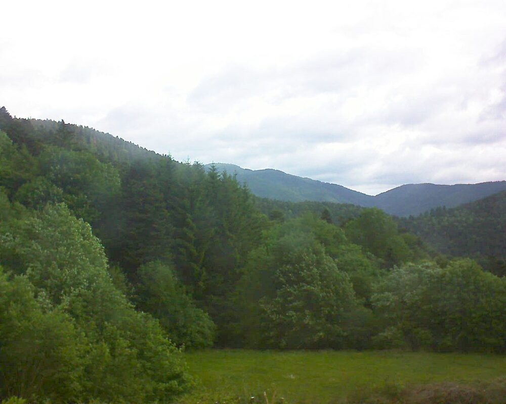 Le petit ballon vu depuis le Domaine Langmatt à Murbach le 28.05.2025 à 08:30 Le petit ballon (Alsace, Vosges) le 28.05.2025 à 08:30