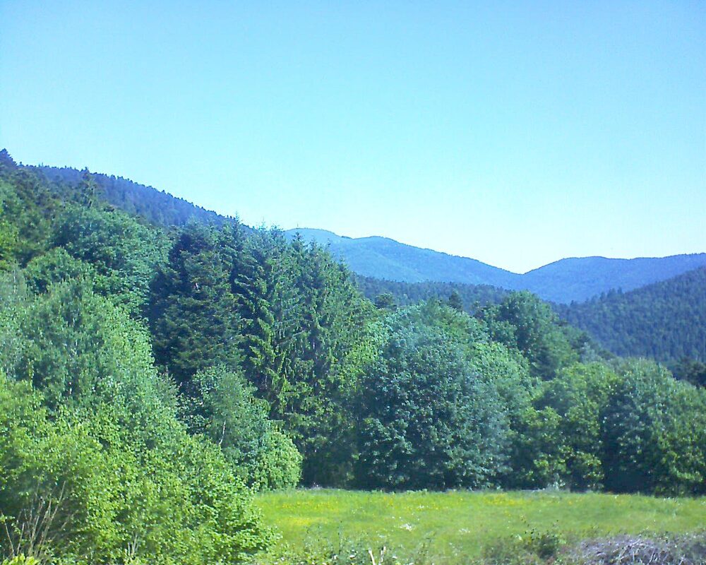 Le petit ballon vu depuis le Domaine Langmatt à Murbach le 30.05.2025 à 11:00 Le petit ballon (Alsace, Vosges) le 30.05.2025 à 11:00