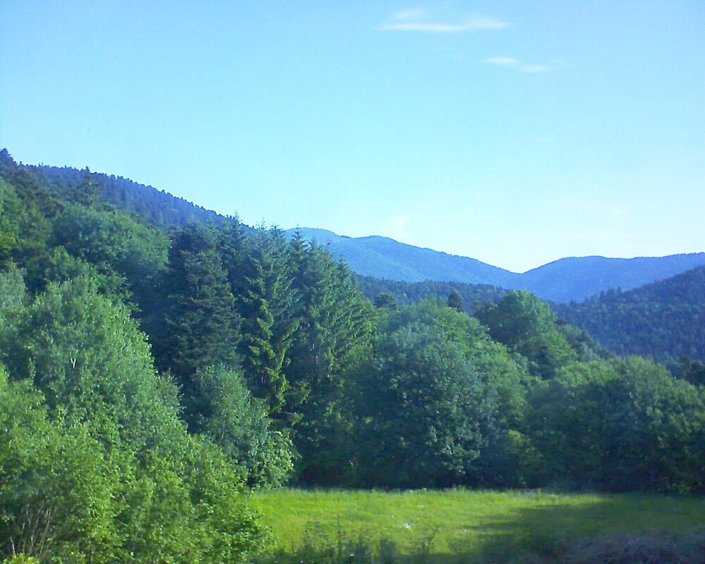 Le petit ballon vu depuis le Domaine Langmatt à Murbach le 31.05.2025 à 08:30 Le petit ballon (Alsace, Vosges) le 31.05.2025 à 08:30