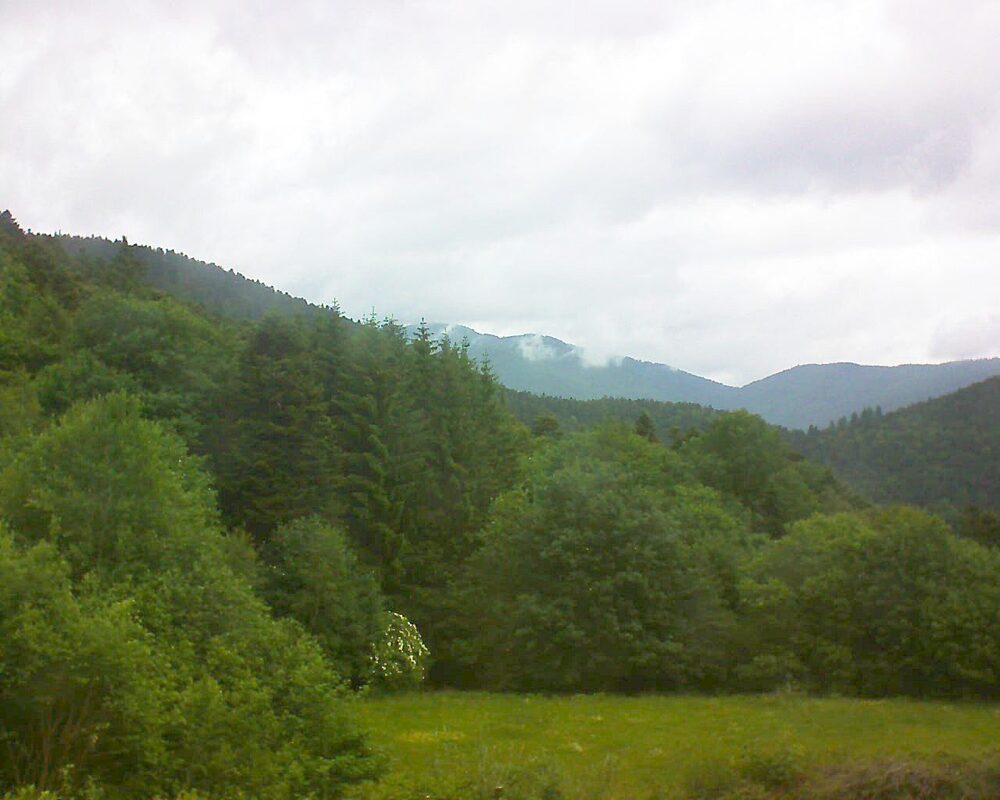 Le petit ballon vu depuis le Domaine Langmatt à Murbach le 03.06.2025 à 11:00 Le petit ballon (Alsace, Vosges) le 03.06.2025 à 11:00