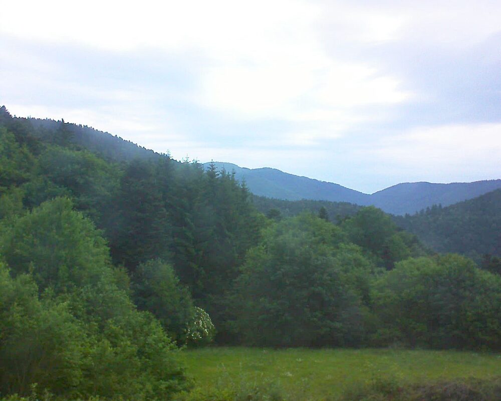 Le petit ballon vu depuis le Domaine Langmatt à Murbach le 04.06.2025 à 06:00 Le petit ballon (Alsace, Vosges) le 04.06.2025 à 06:00