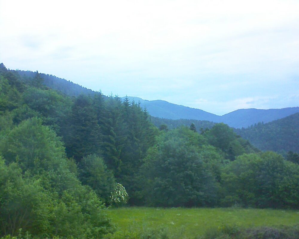 Le petit ballon vu depuis le Domaine Langmatt à Murbach le 04.06.2025 à 08:30 Le petit ballon (Alsace, Vosges) le 04.06.2025 à 08:30