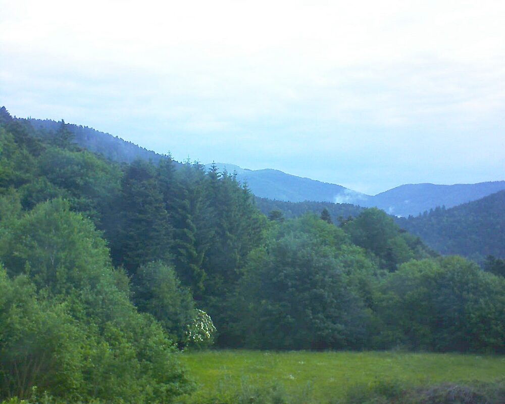 Le petit ballon vu depuis le Domaine Langmatt à Murbach le 04.06.2025 à 08:45 Le petit ballon (Alsace, Vosges) le 04.06.2025 à 08:45