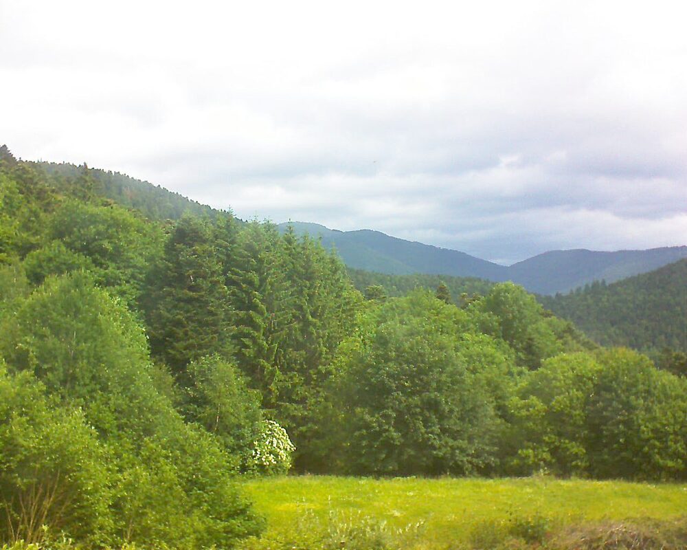 Le petit ballon vu depuis le Domaine Langmatt à Murbach le 05.06.2025 à 11:00 Le petit ballon (Alsace, Vosges) le 05.06.2025 à 11:00