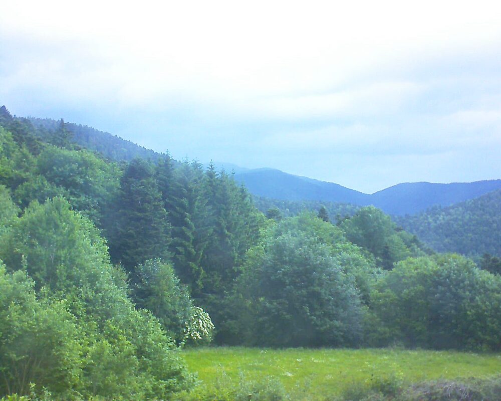 Le petit ballon vu depuis le Domaine Langmatt à Murbach le 06.06.2025 à 08:00 Le petit ballon (Alsace, Vosges) le 06.06.2025 à 08:00