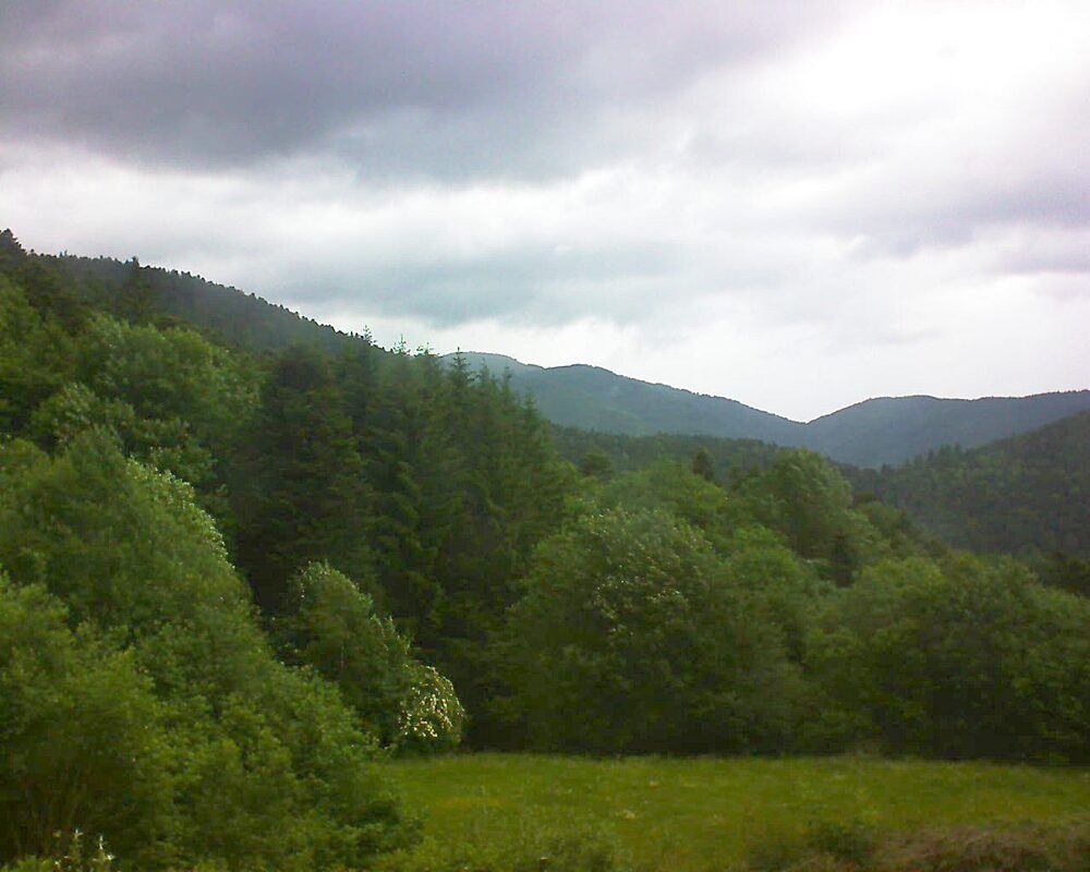 Le petit ballon vu depuis le Domaine Langmatt à Murbach le 06.06.2025 à 09:45 Le petit ballon (Alsace, Vosges) le 06.06.2025 à 09:45