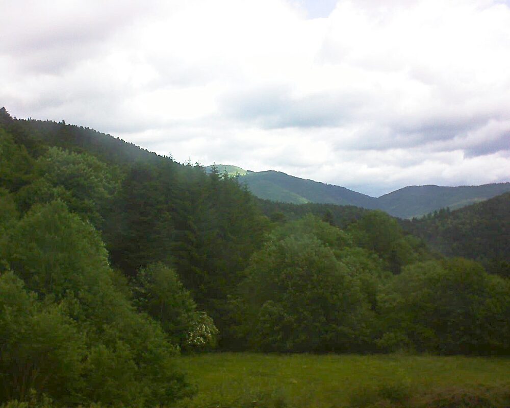 Le petit ballon vu depuis le Domaine Langmatt à Murbach le 06.06.2025 à 10:45 Le petit ballon (Alsace, Vosges) le 06.06.2025 à 10:45