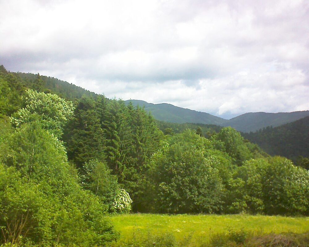 Le petit ballon vu depuis le Domaine Langmatt à Murbach le 06.06.2025 à 11:00 Le petit ballon (Alsace, Vosges) le 06.06.2025 à 11:00