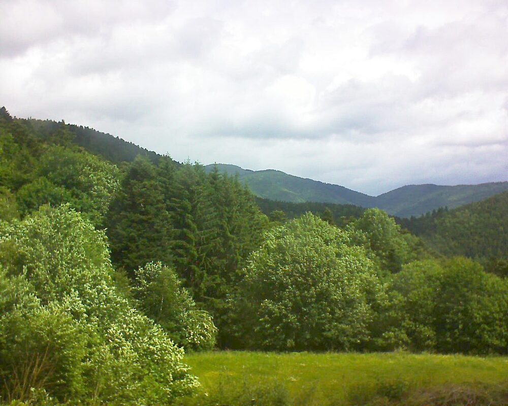 Le petit ballon vu depuis le Domaine Langmatt à Murbach le 06.06.2025 à 11:15 Le petit ballon (Alsace, Vosges) le 06.06.2025 à 11:15