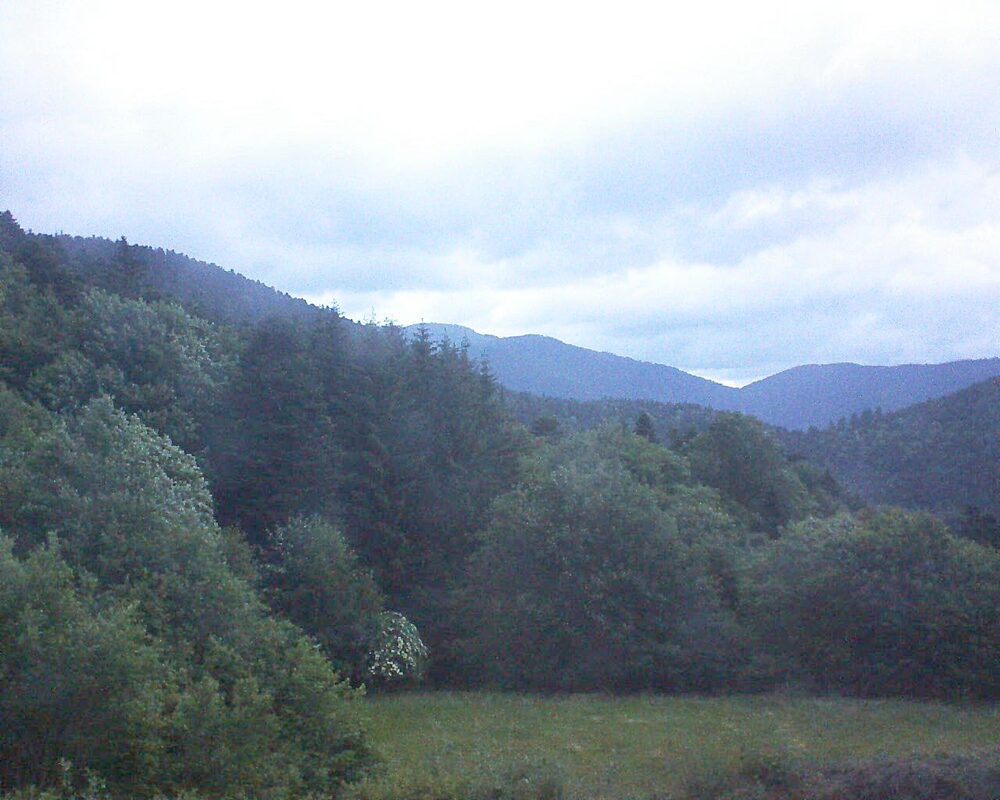 Le petit ballon vu depuis le Domaine Langmatt à Murbach le 08.06.2025 à 05:30 Le petit ballon (Alsace, Vosges) le 08.06.2025 à 05:30