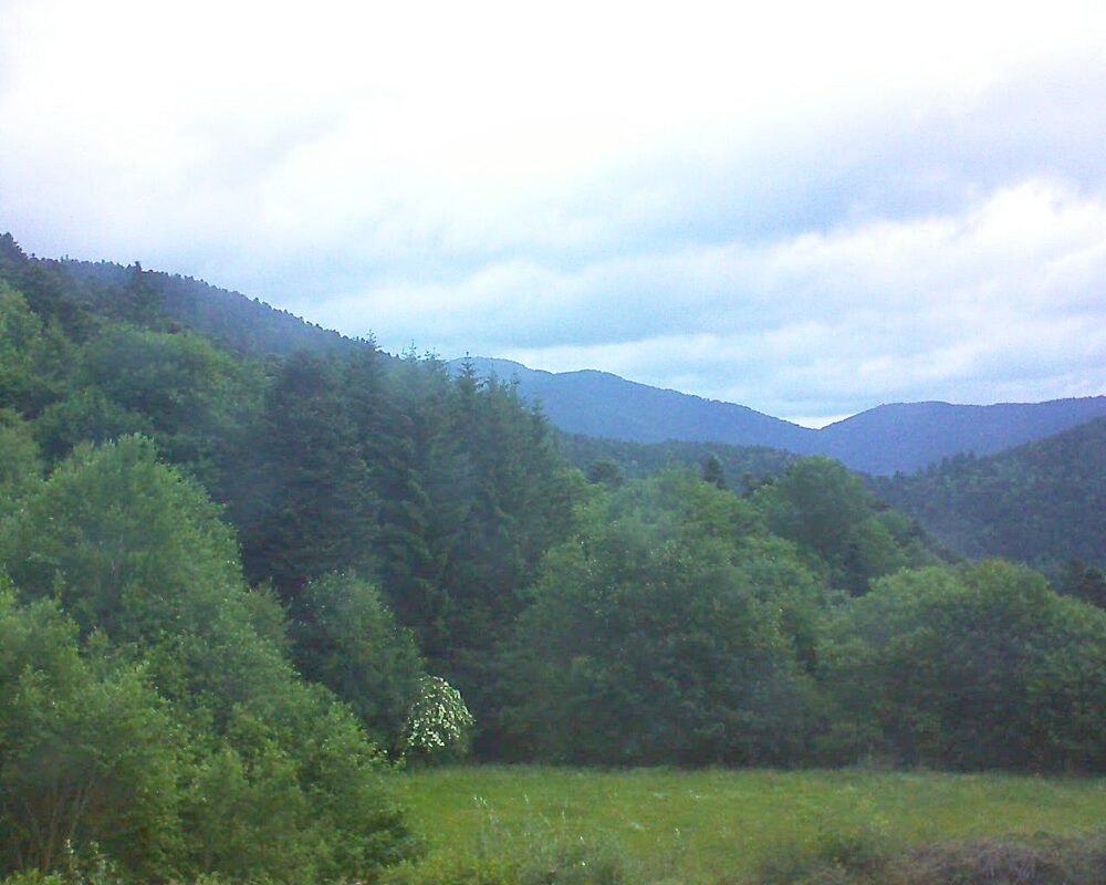Le petit ballon vu depuis le Domaine Langmatt à Murbach le 08.06.2025 à 05:45 Le petit ballon (Alsace, Vosges) le 08.06.2025 à 05:45