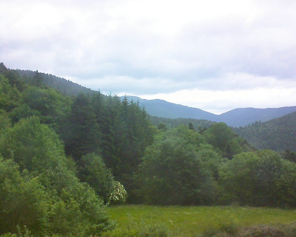 Le petit ballon vu depuis le Domaine Langmatt à Murbach le 08.06.2025 à 06:30 Le petit ballon (Alsace, Vosges) le 08.06.2025 à 06:30