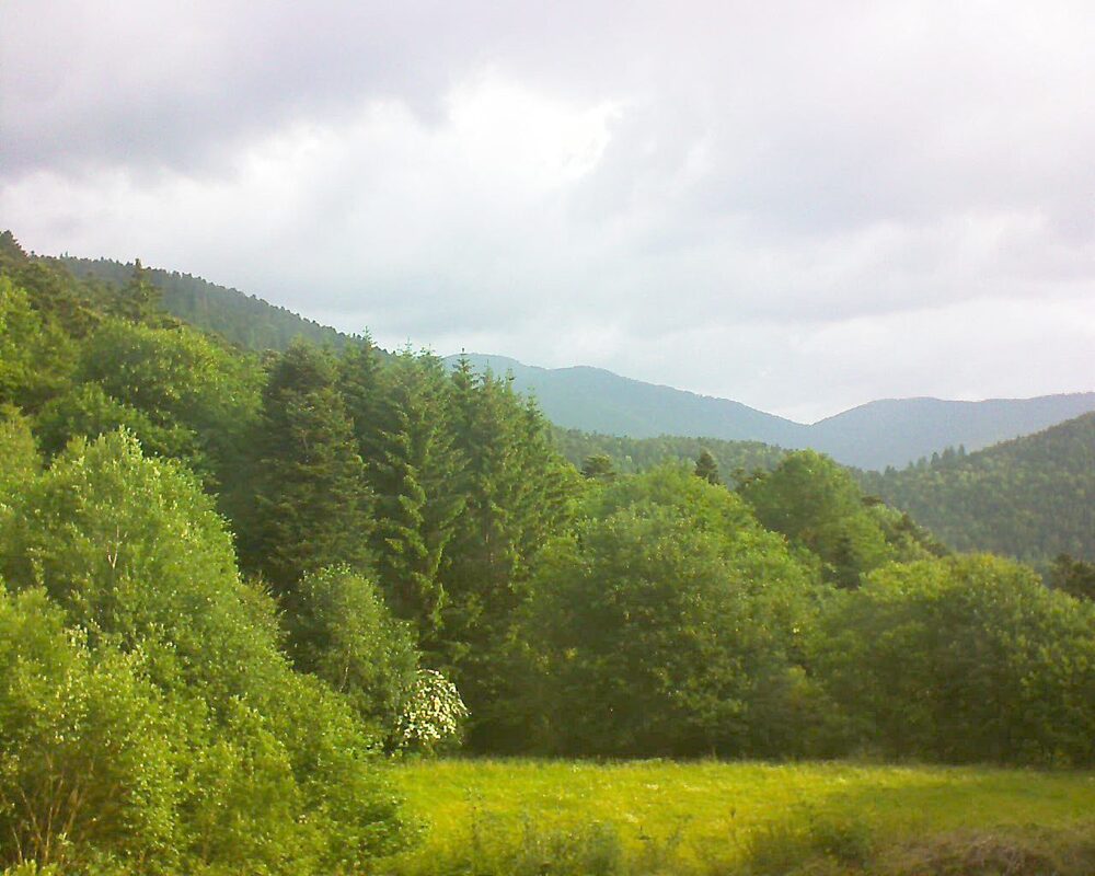 Le petit ballon vu depuis le Domaine Langmatt à Murbach le 08.06.2025 à 08:30 Le petit ballon (Alsace, Vosges) le 08.06.2025 à 08:30