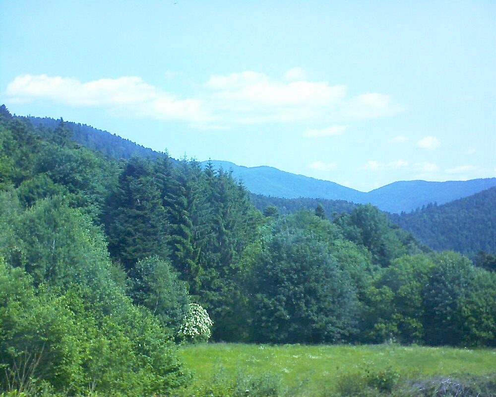 Le petit ballon vu depuis le Domaine Langmatt à Murbach le 09.06.2025 à 11:00 Le petit ballon (Alsace, Vosges) le 09.06.2025 à 11:00