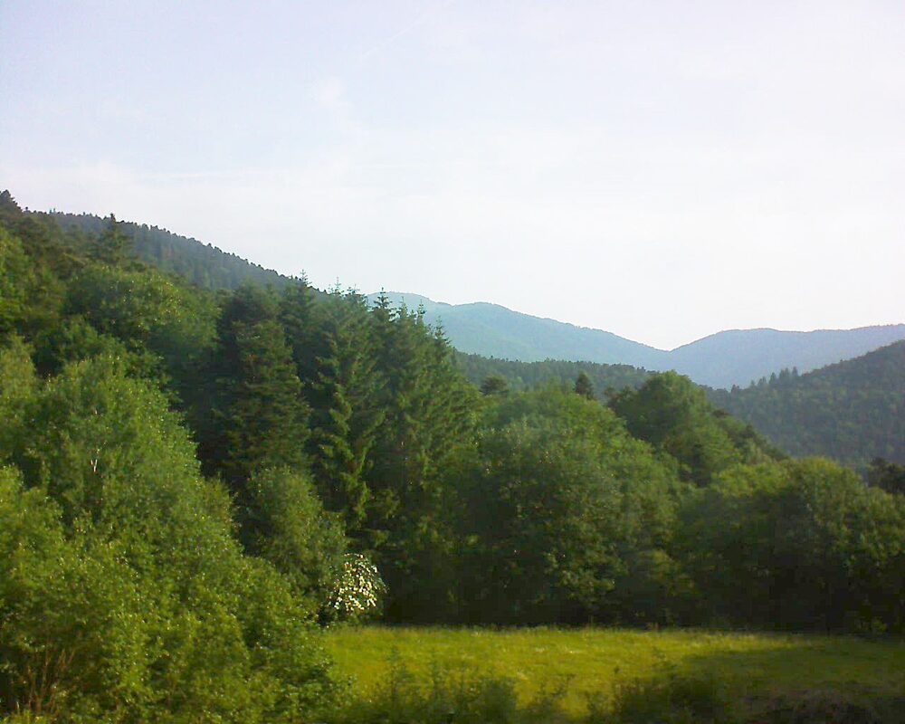 Le petit ballon vu depuis le Domaine Langmatt à Murbach le 10.06.2025 à 08:30 Le petit ballon (Alsace, Vosges) le 10.06.2025 à 08:30
