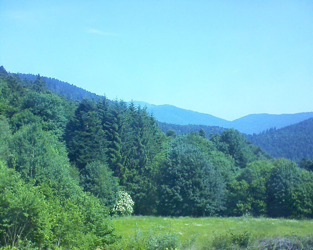 Le petit ballon vu depuis le Domaine Langmatt à Murbach le 12.06.2025 à 11:00 Le petit ballon (Alsace, Vosges) le 12.06.2025 à 11:00
