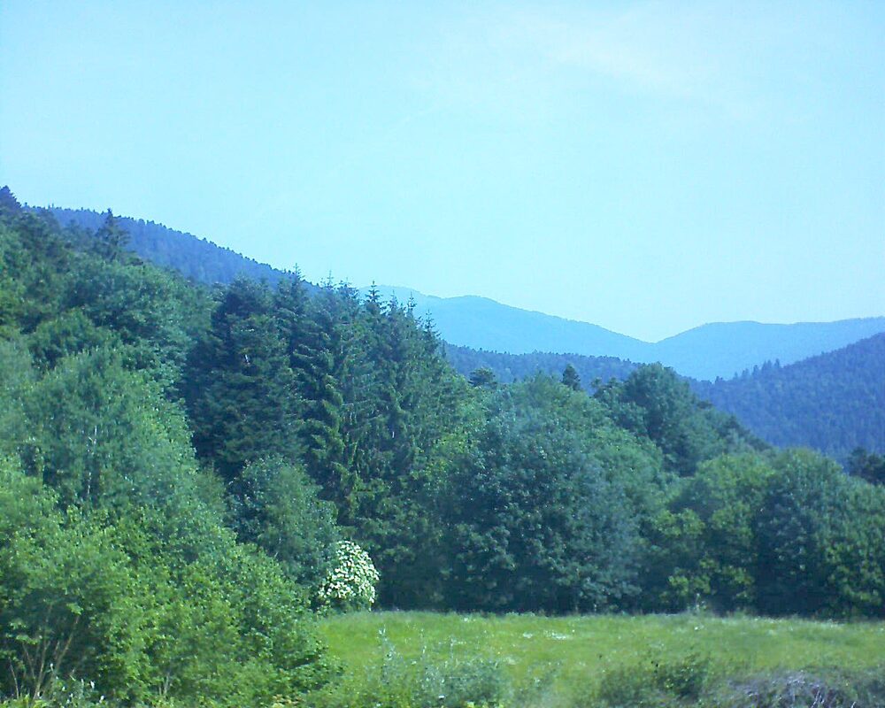 Le petit ballon vu depuis le Domaine Langmatt à Murbach le 13.06.2025 à 11:00 Le petit ballon (Alsace, Vosges) le 13.06.2025 à 11:00