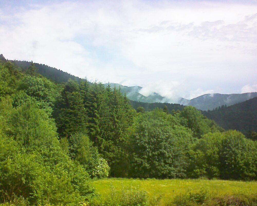Le petit ballon vu depuis le Domaine Langmatt à Murbach le 15.06.2025 à 11:00 Le petit ballon (Alsace, Vosges) le 15.06.2025 à 11:00