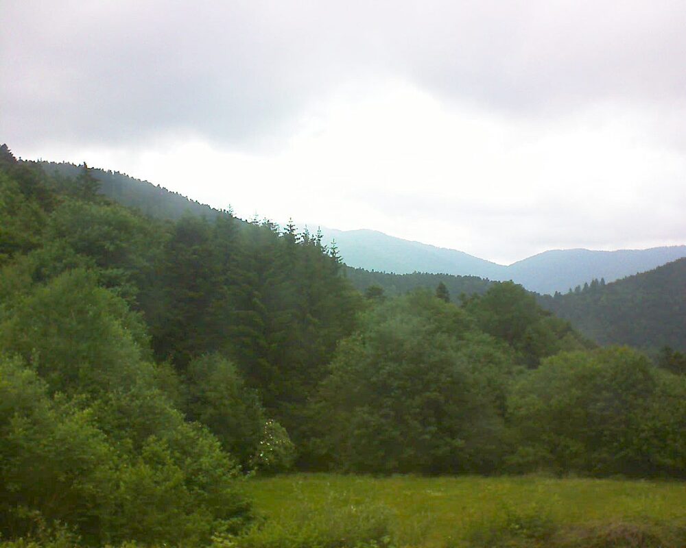 Le petit ballon vu depuis le Domaine Langmatt à Murbach le 16.06.2025 à 11:00 Le petit ballon (Alsace, Vosges) le 16.06.2025 à 11:00