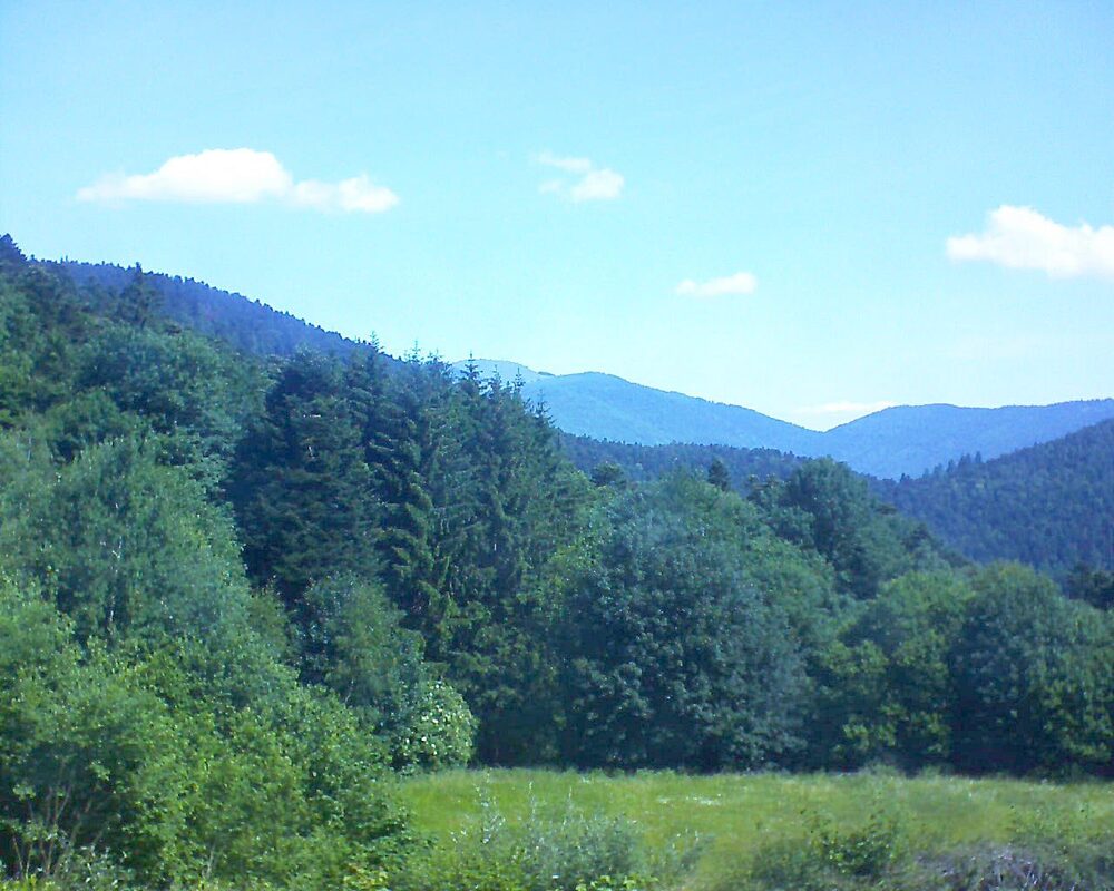 Le petit ballon vu depuis le Domaine Langmatt à Murbach le 18.06.2025 à 11:00 Le petit ballon (Alsace, Vosges) le 18.06.2025 à 11:00